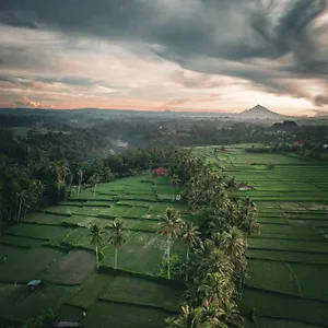 Ayu Duwur Beji Pensjonat Ubud